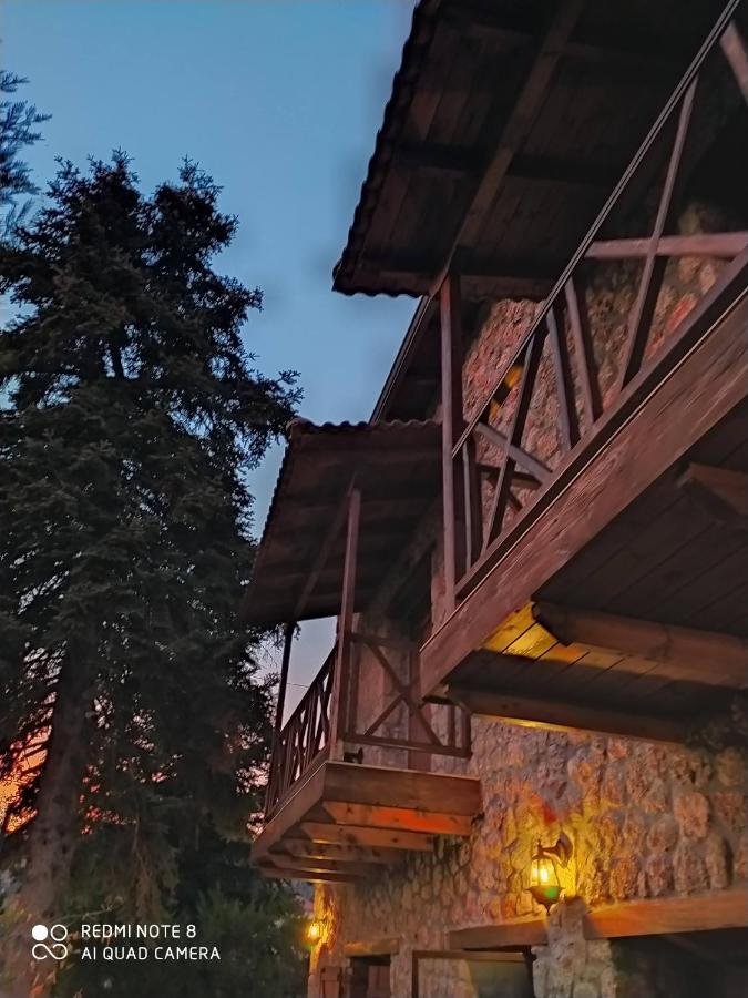 Guesthouse Elaia Synikia Mesi Trikalon Esterno foto