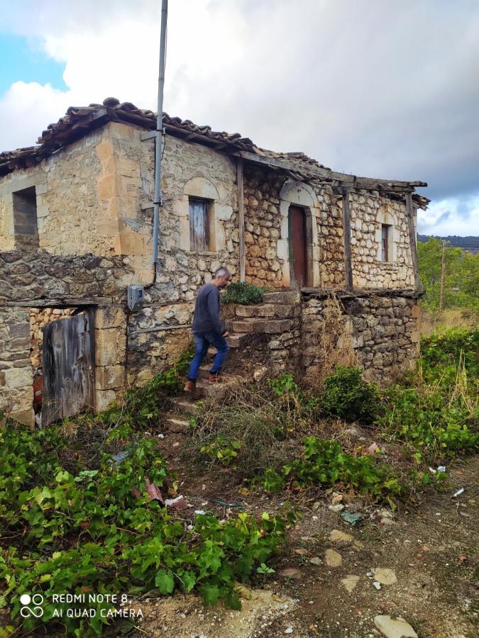 Guesthouse Elaia Synikia Mesi Trikalon Esterno foto