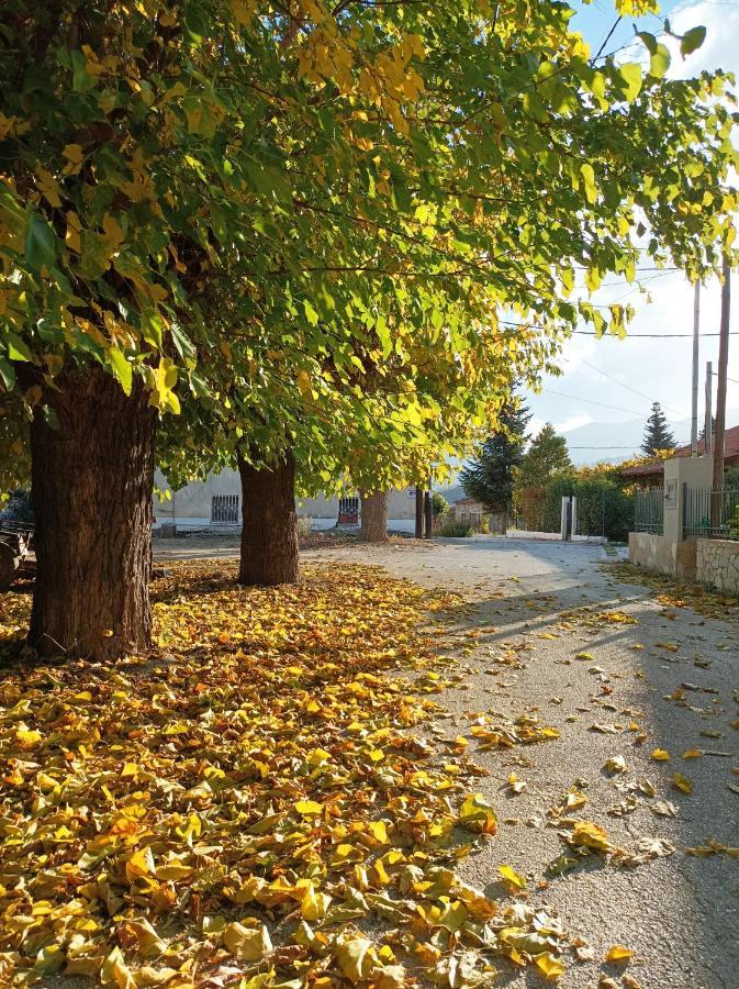 Guesthouse Elaia Synikia Mesi Trikalon Esterno foto